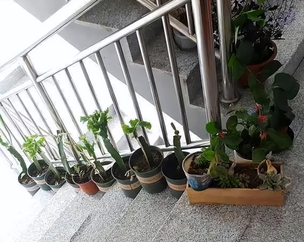 摊上这样的邻居,摊上这种邻居