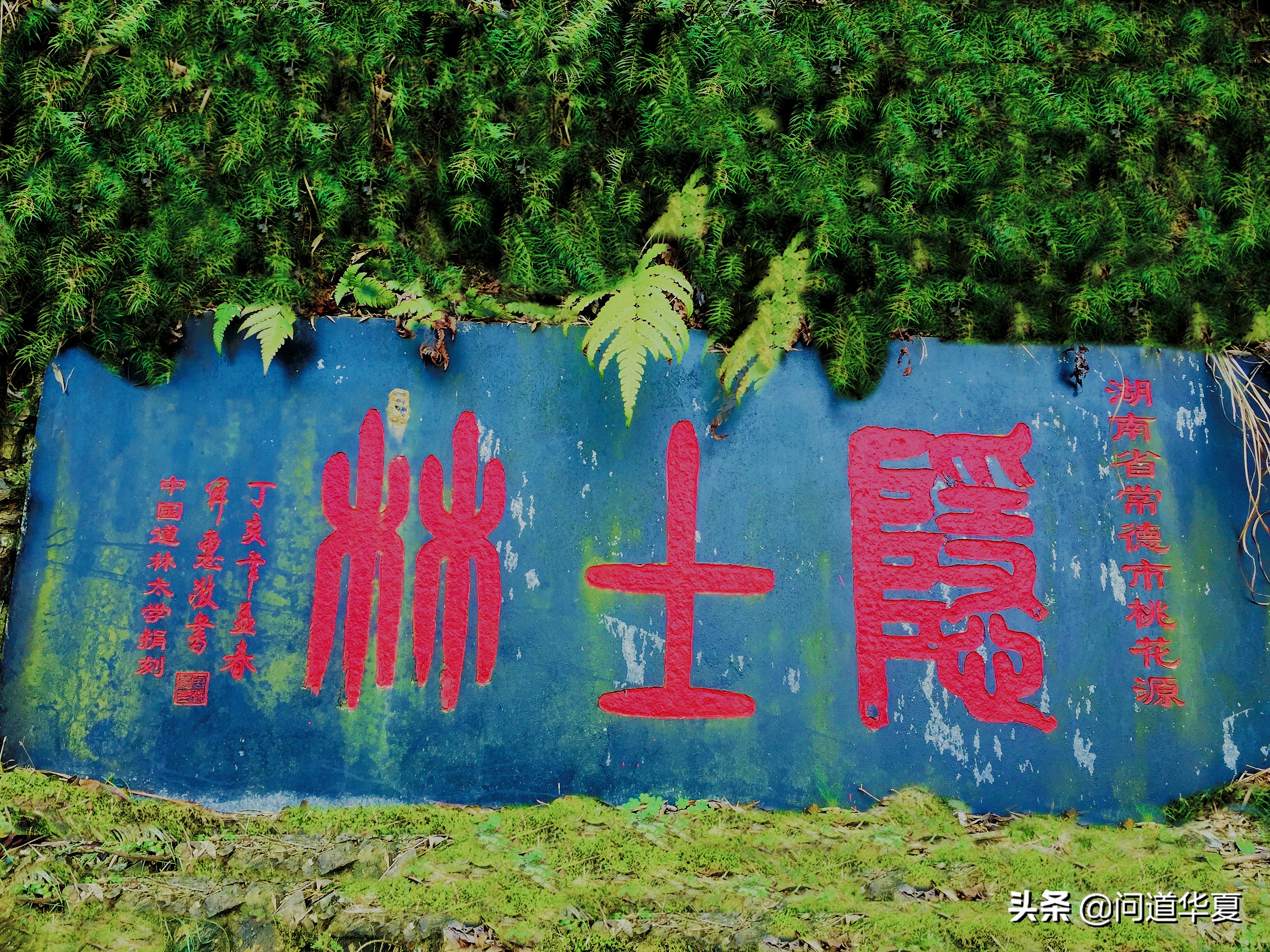 听谢道长“解梦”、论“神”，才知道道家文化的水有多深