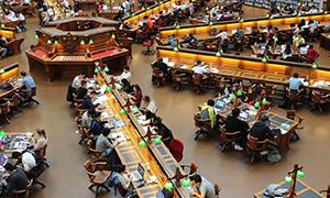 商务管理的风险管理,商务管理专业的专业描述