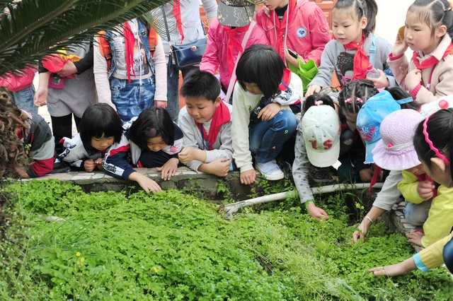 暑期社会实践剩余的钱怎么办,为期三天的社会实践活动