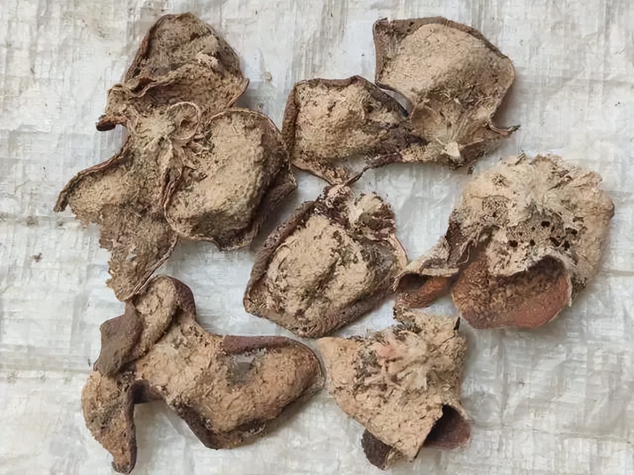 陈皮虫蛀怎么办,新会陈皮果怎么处理