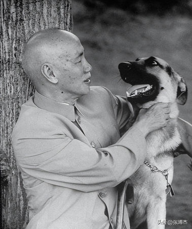 1975年蒋介石临终前，对蒋经国说出不放张学良的原因，张哭笑不得