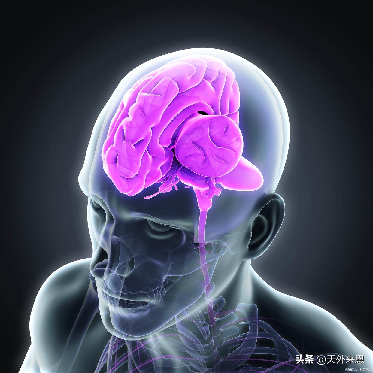 左脑思维和右脑思维的区别,人类的左脑更聪明还是右脑更聪明