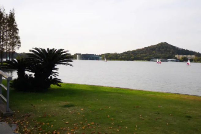 上海景点推荐，上海月湖雕塑公园#低音号语音导游#