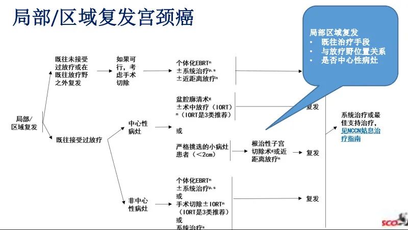 安菊生治疗宫颈癌,nccn宫颈癌指南解读