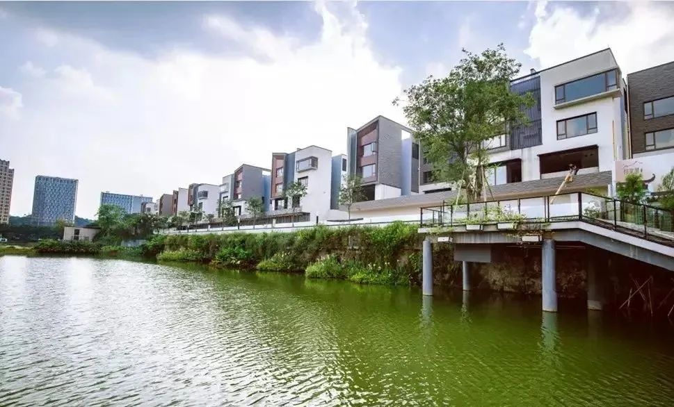 金沙洲低总价新楼盘,金沙洲力迅榕叠墅