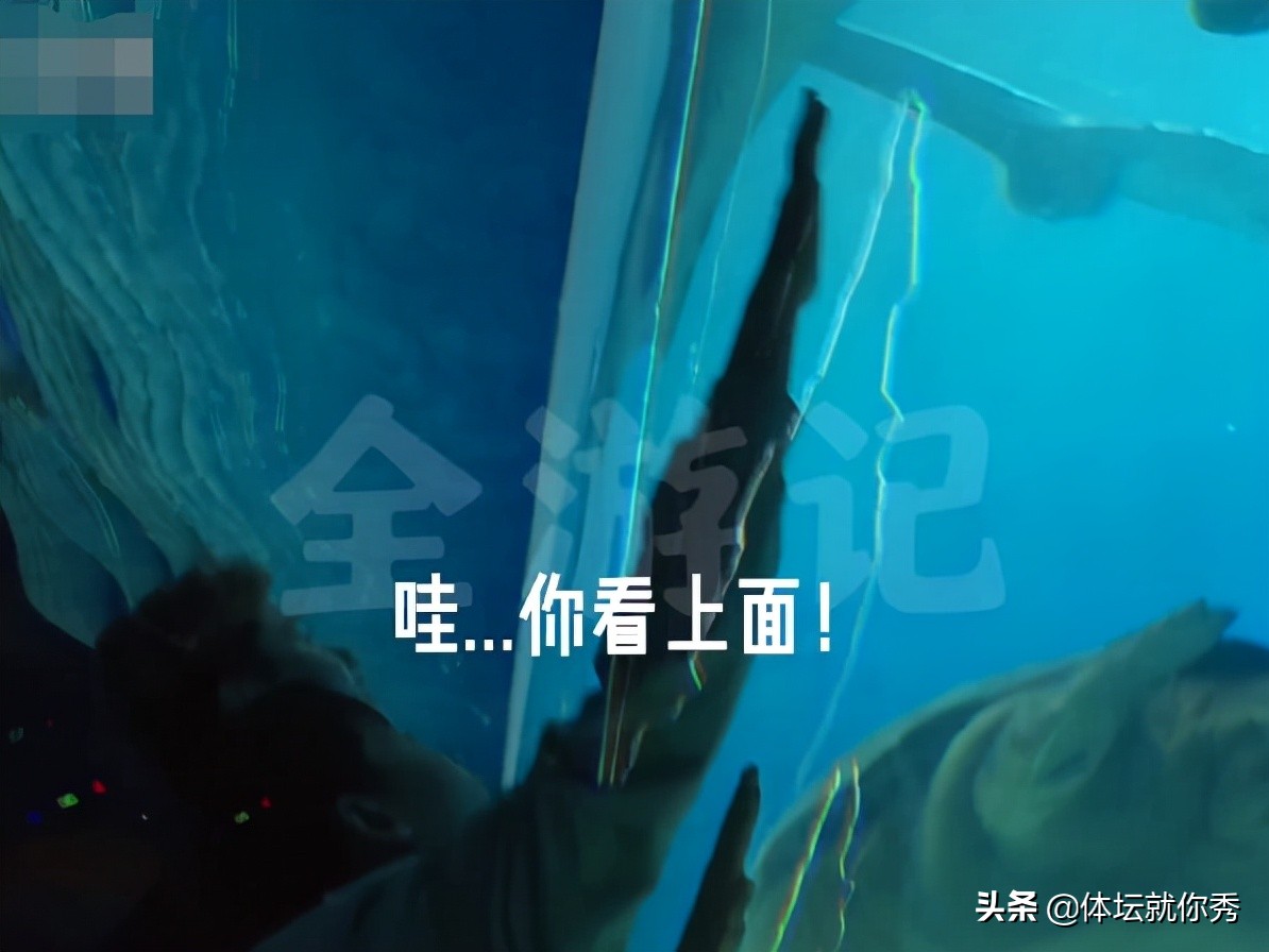 全红婵参观海洋馆！咬嘴唇样子可爱，看见鲸鲨走不动，与海龟互动