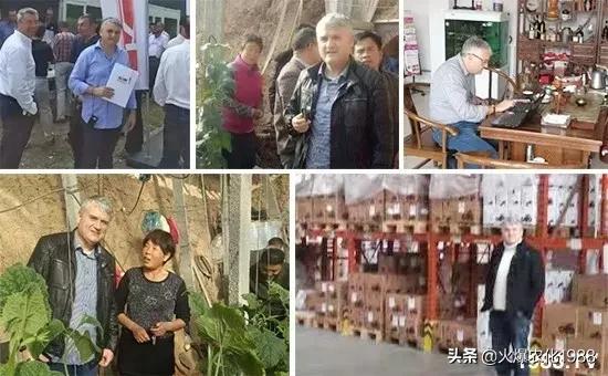 意大利、荷兰、比利时原装进口，交500顶2000；支持货到付款