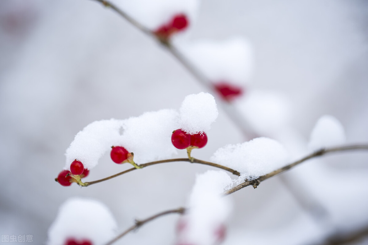 冬至是民间说的大冬还是小冬,知道冬至这天有哪些风俗习惯吗