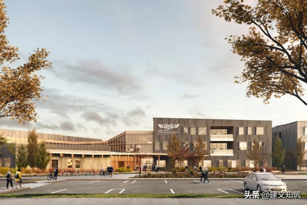 waf2023世锦赛,waf国内排名