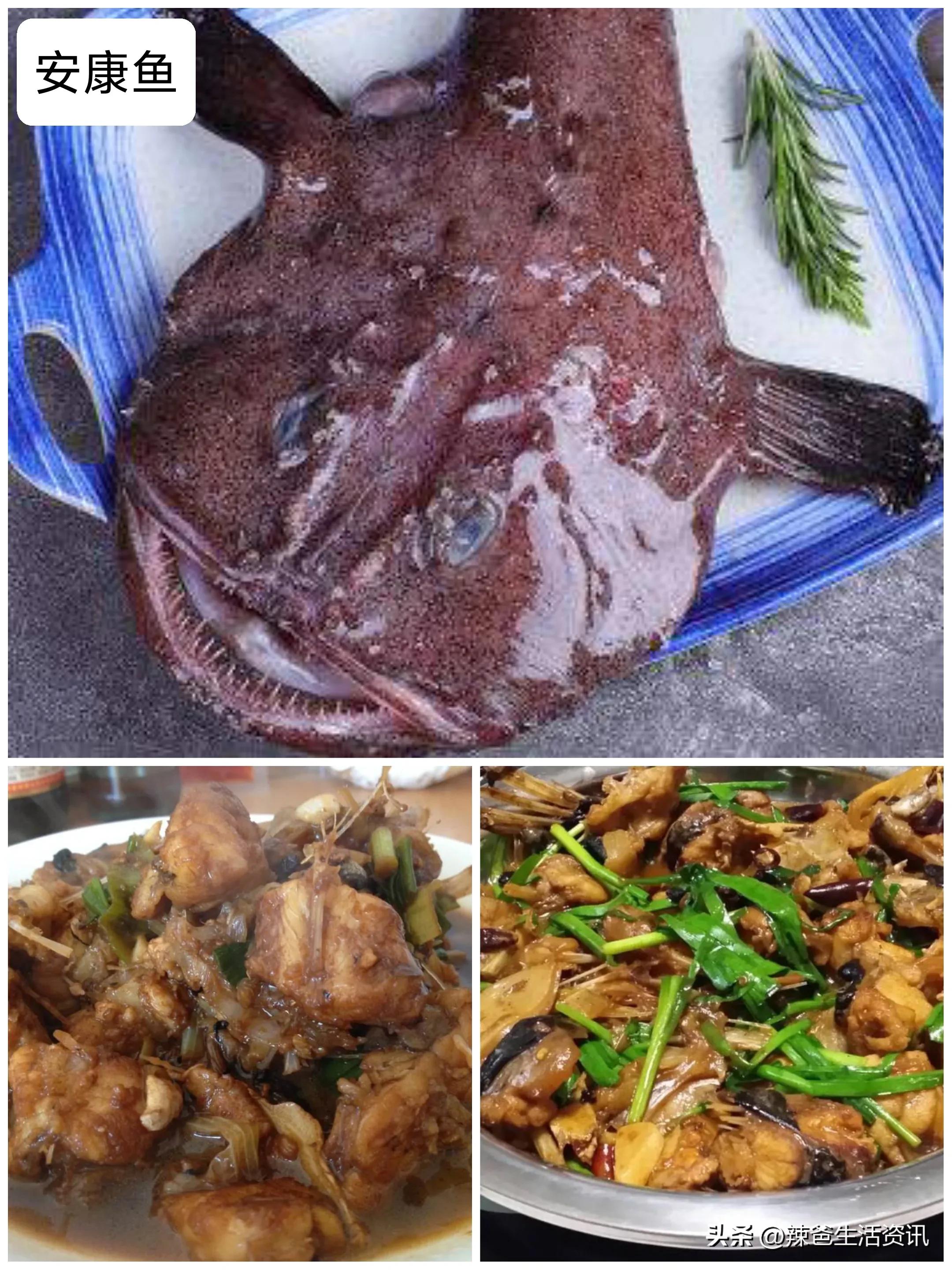 好吃不贵的野生海鱼,十种好吃不贵的正宗海鱼