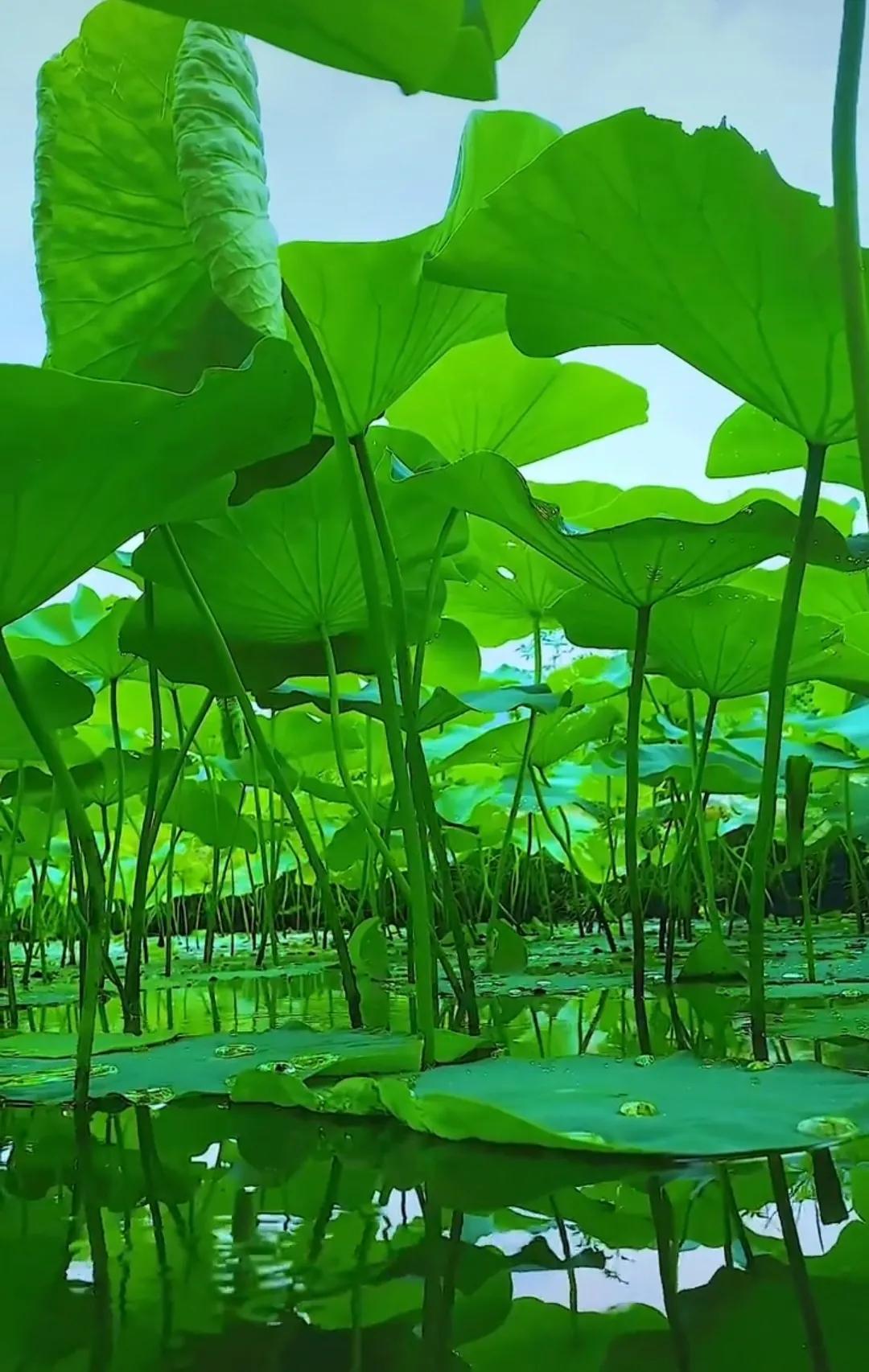 周末股市值得读吗,股市长线法宝下载