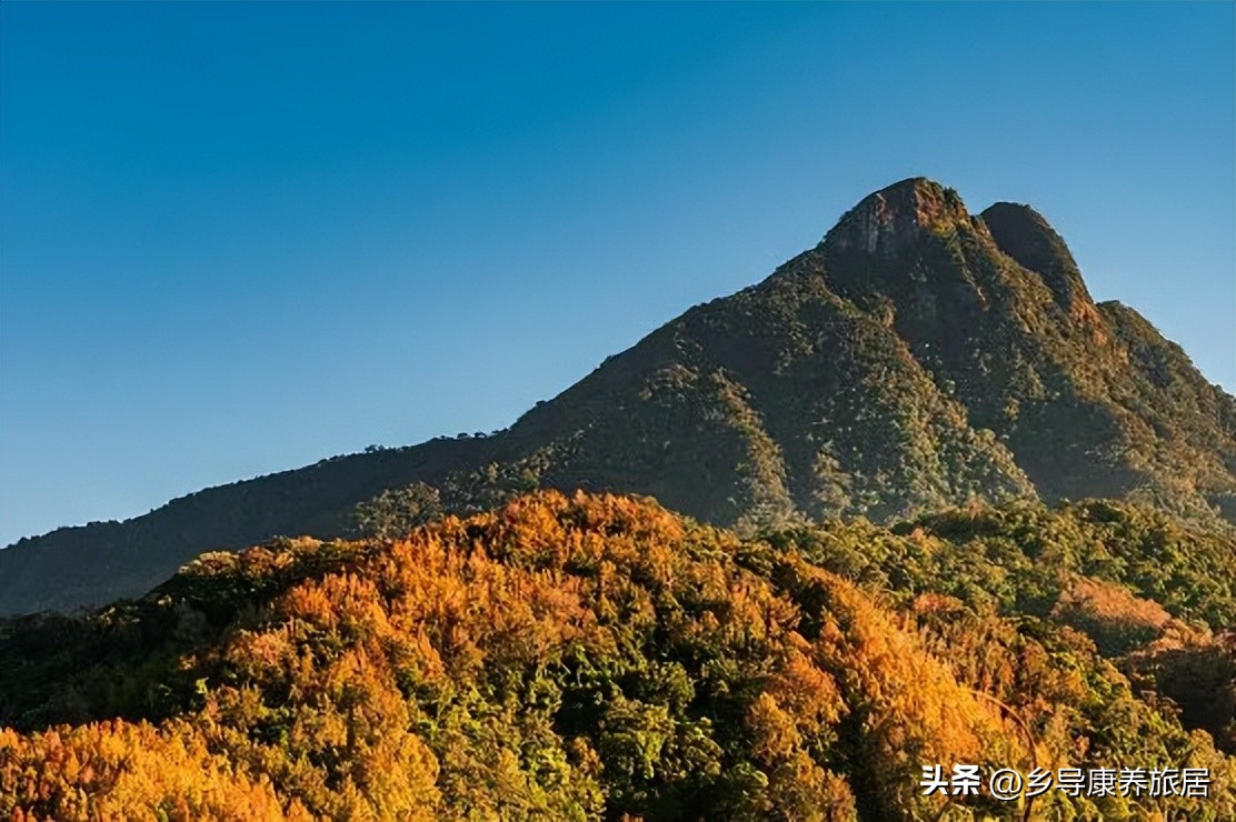 海南冬天过冬租房攻略 (去海南过冬租房房东都会提供什么)