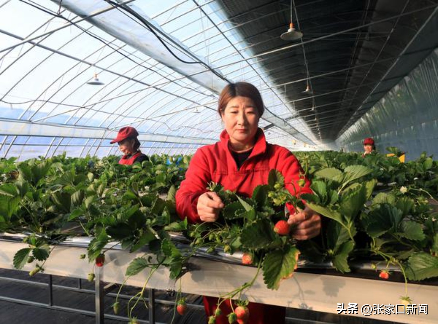 图说2022｜摄影记者镜头里的张家口这一年·陈飞