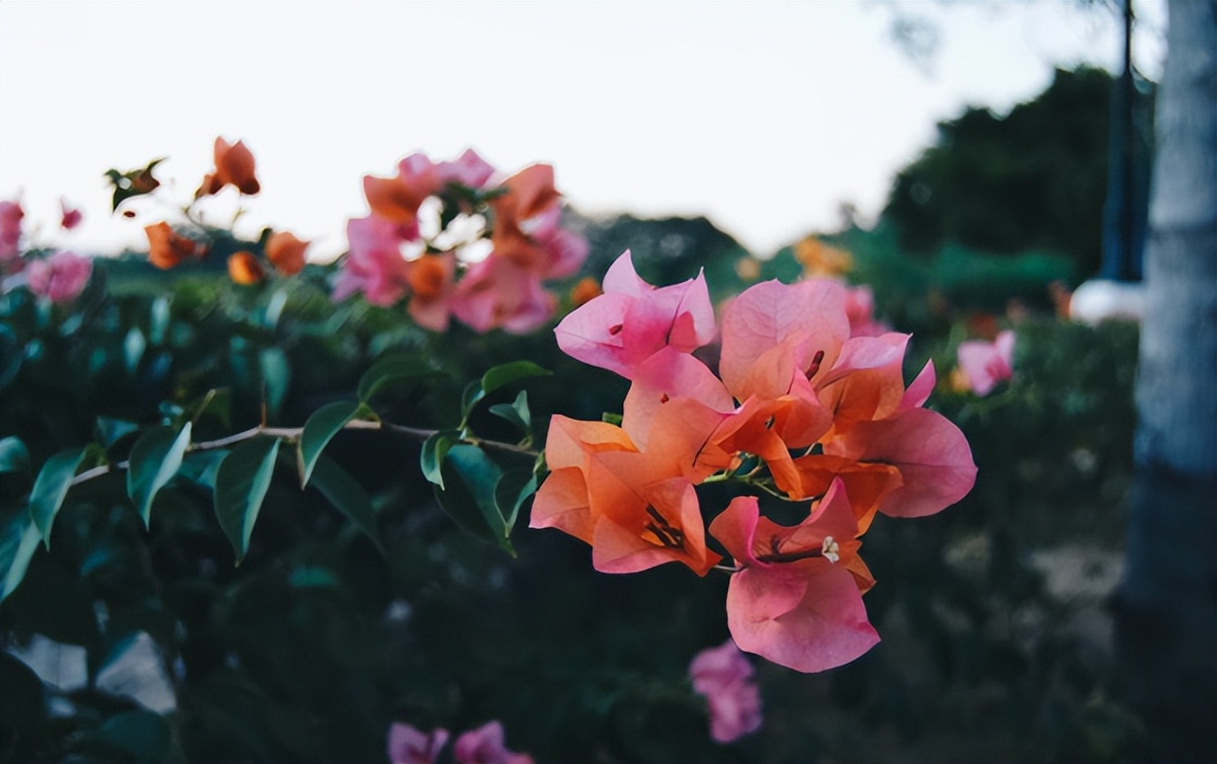 一键清空自己朋友圈内容,清空自己让心归零