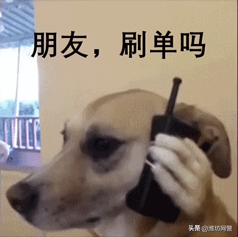 一个情商高的人你能骗她吗,一个智商足够高的人情商不可能低