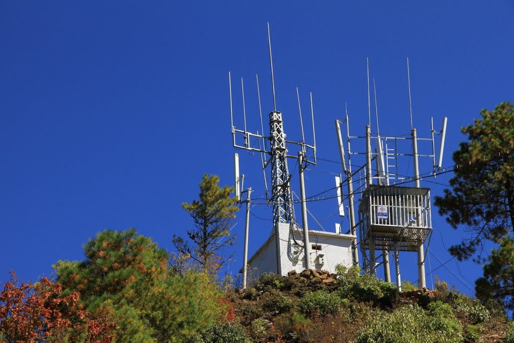 抗疫中的硬核黑科技,抗疫黑科技的使用方法