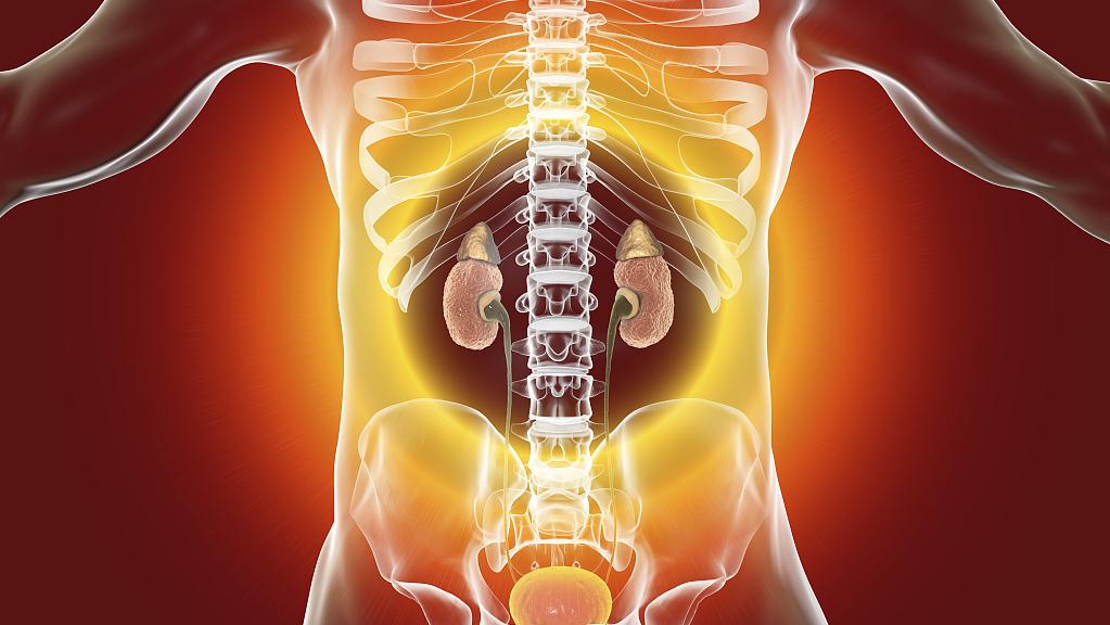 身体被掏空没精神怎么回事,身体被掏空如何补