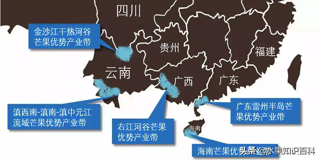 那些你不知道的冷知识,杧果和芒果的区别