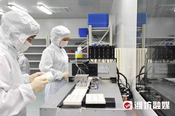 康华体外诊断试剂,好品山东保健品