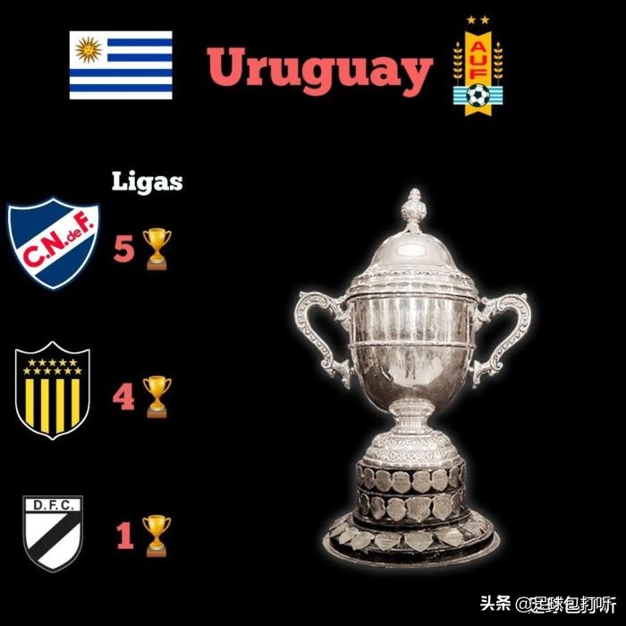 八大冠军夺冠视频,八大联赛排名