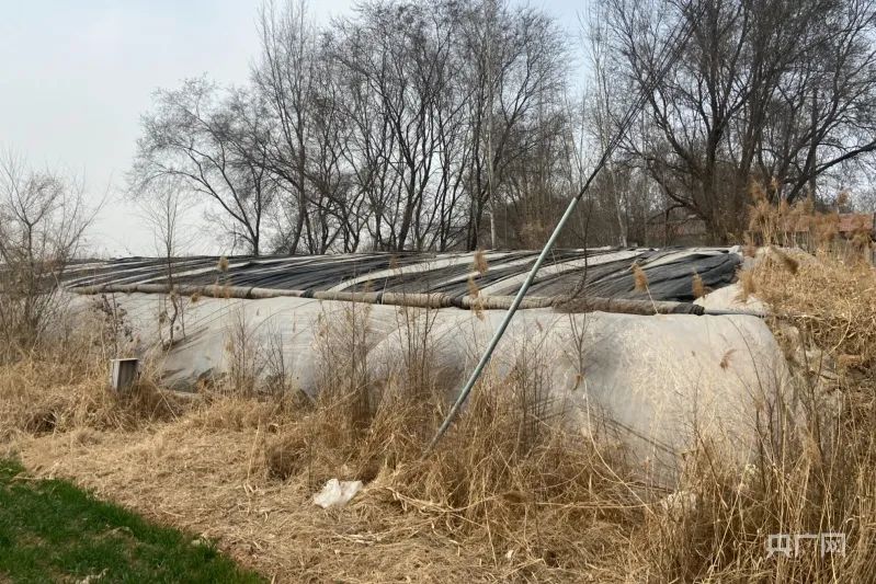 邯郸遇害初中生学校否认校园霸凌,邯郸遇害初中生学校称无霸凌行为