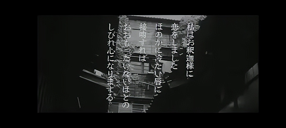 林芙美子放浪记简介,放浪记小说