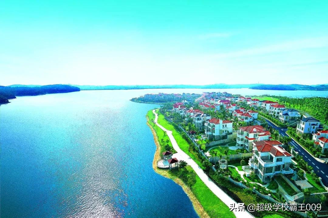 碧桂园是最良心的房企吗,碧桂园为什么是宇宙第一房企