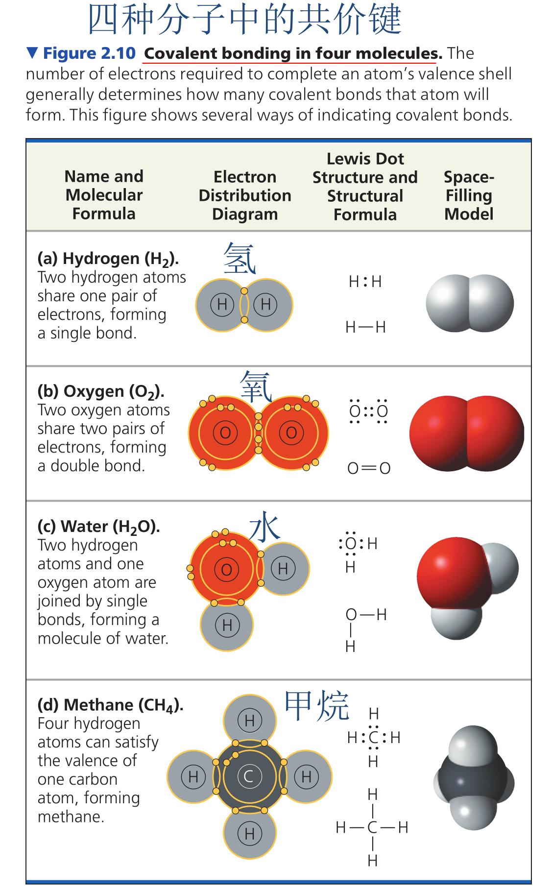 太阳一秒钟消耗400万吨氢,太阳每秒消耗多少吨氢
