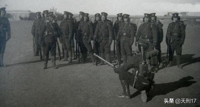 德式步枪大全,德式突击步枪大全