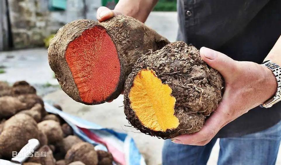 改良版旗袍的面料,如何能让旧旗袍面料焕然一新