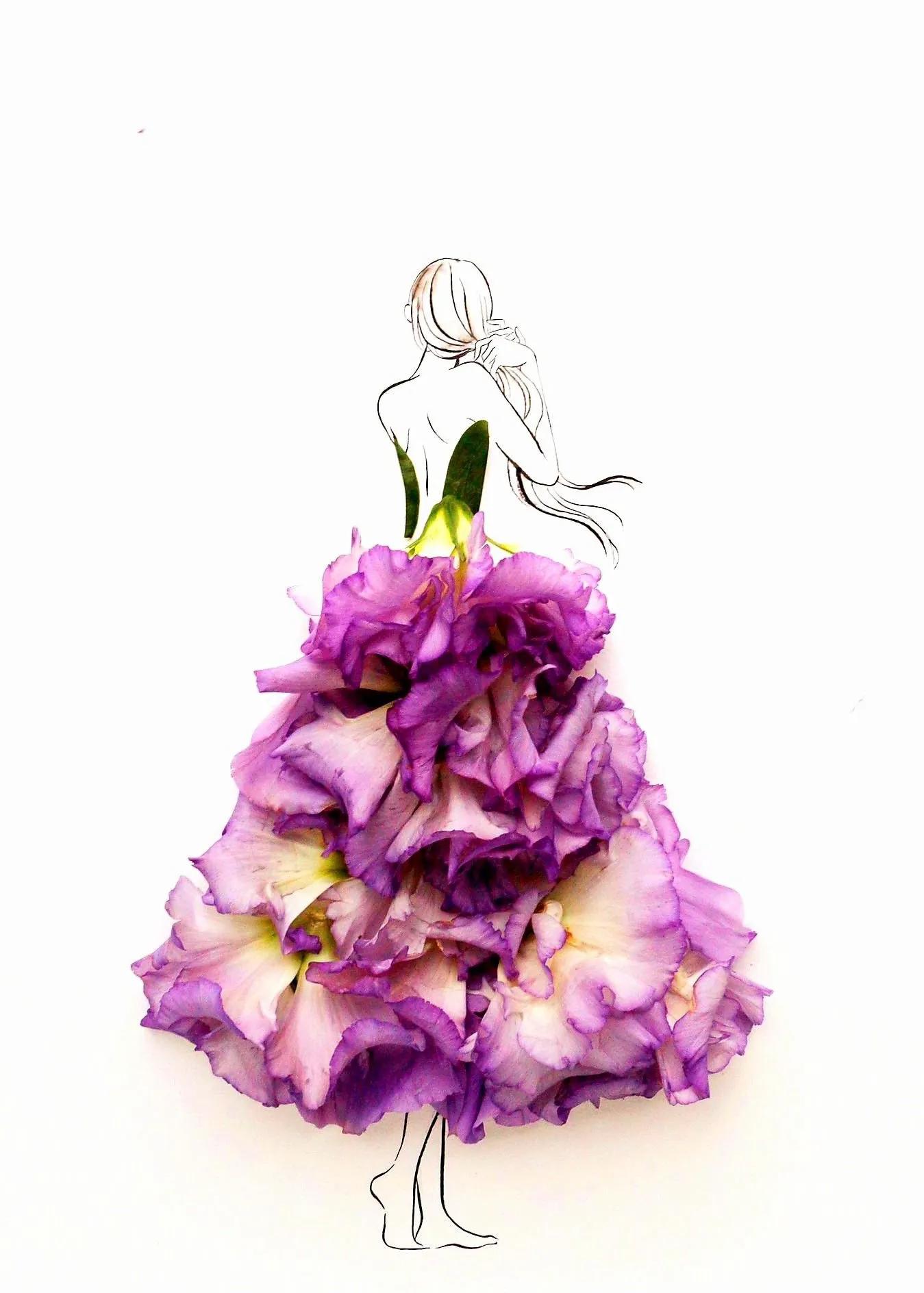 花仙子植物开花,花仙子开满鲜花