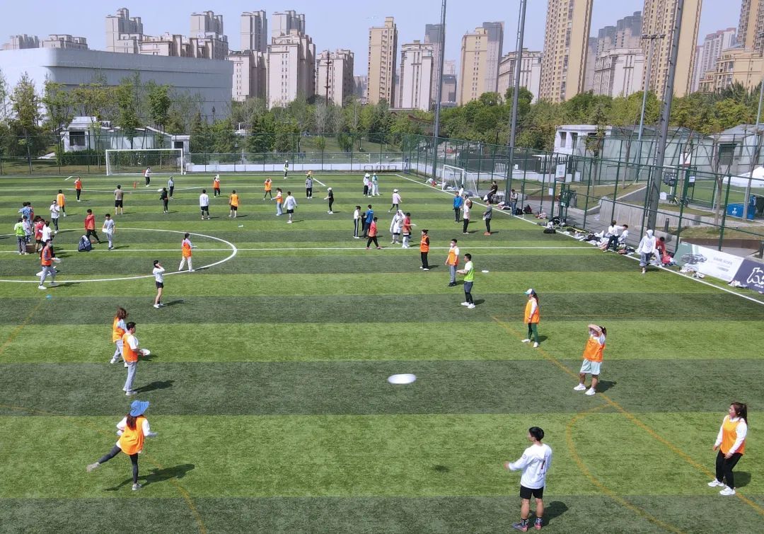 足球场内飞盘场外踢足球,足球场内飞盘与狗