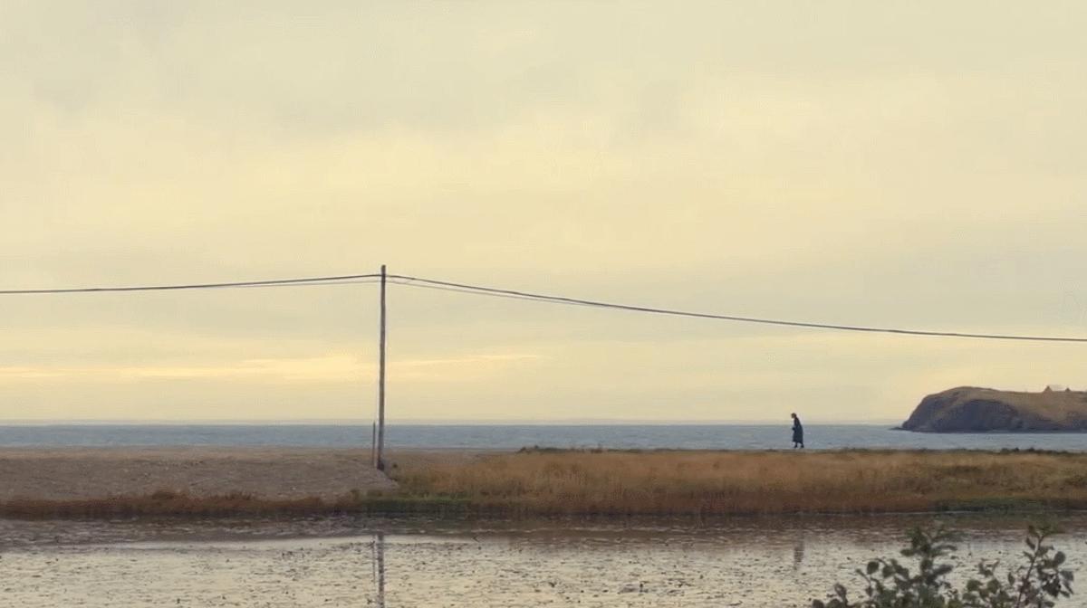 现实版隐入尘烟视频,隐入尘烟事件