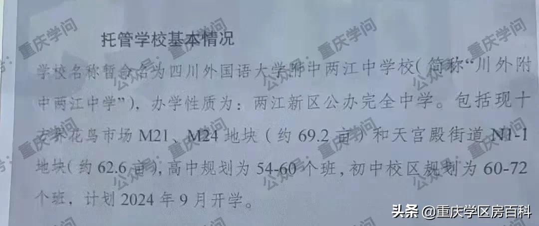 两江新区七龙珠学校,新的七龙珠分校