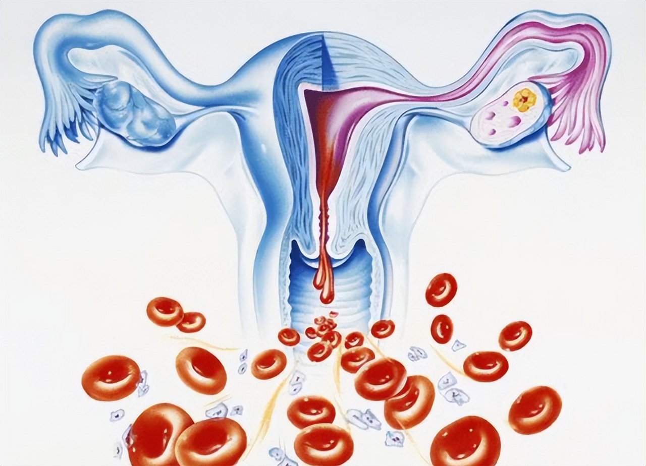 女生来例假就流了一点血怎么回事,女生经期流出肉一样的血块是什么