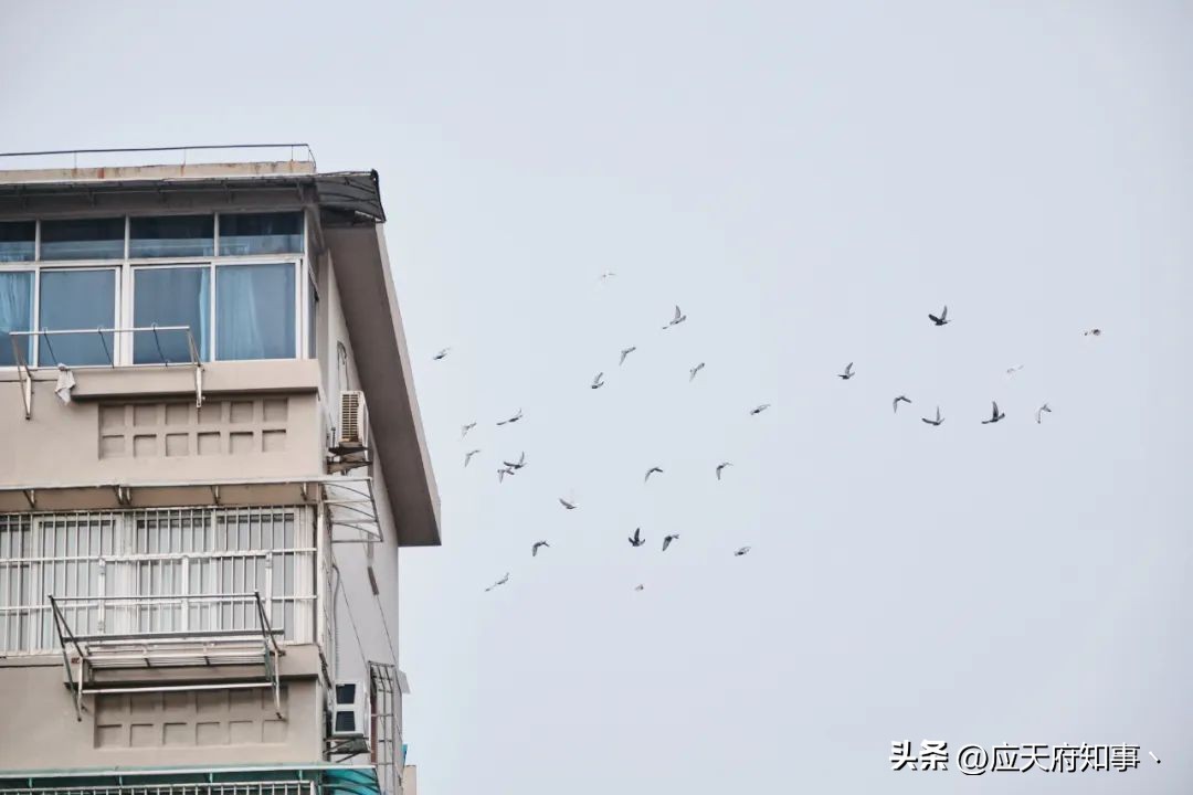 南京大学好吃的美食,南京大学校园里有哪些美食