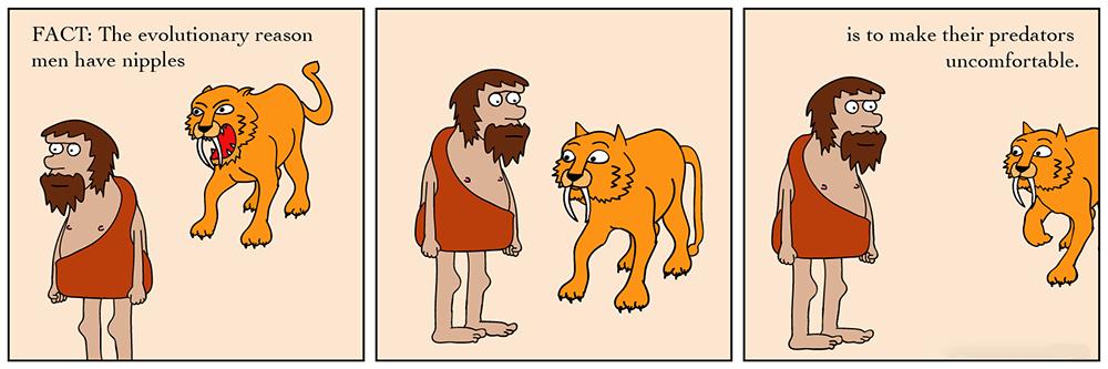 男性乳房位置一定对称吗,乳房的形状影响产乳吗