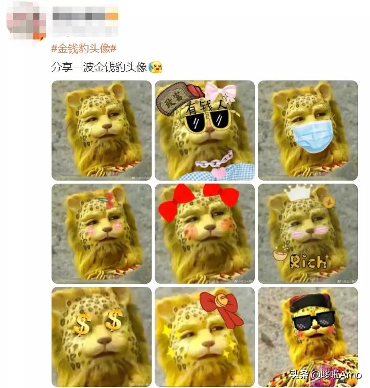 金钱豹动物科普介绍,金钱豹科普