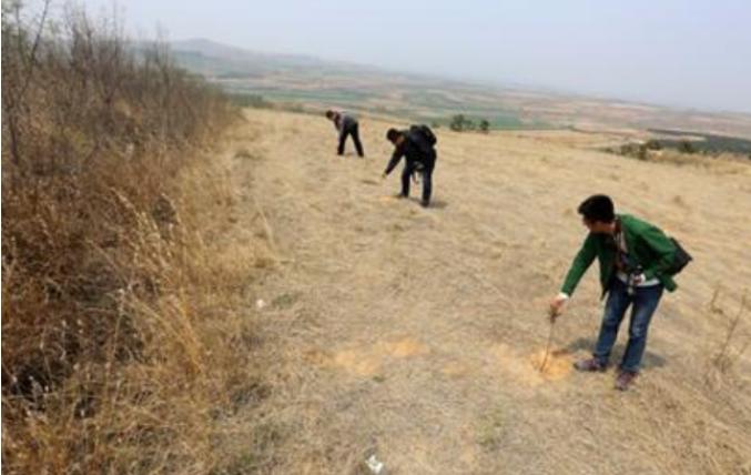 山东康王墓的传说,康王的宝藏
