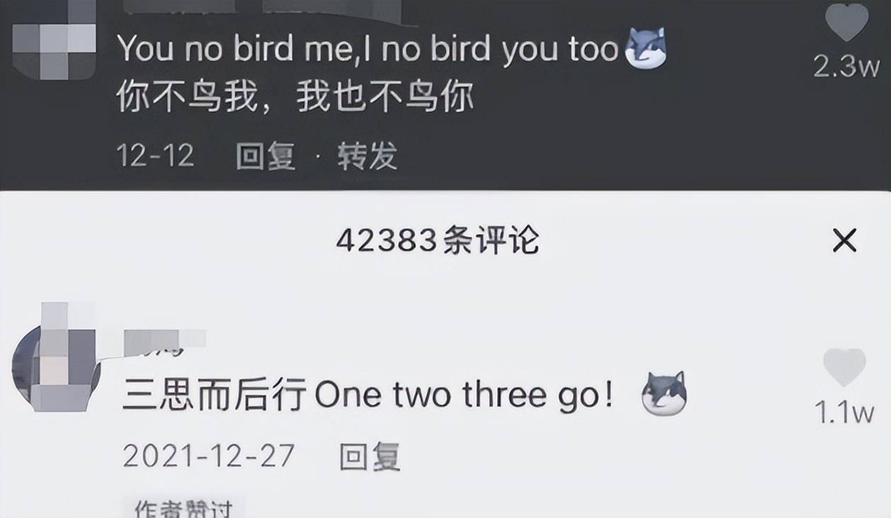 外国人评价中西结合,中西结合式英语视频