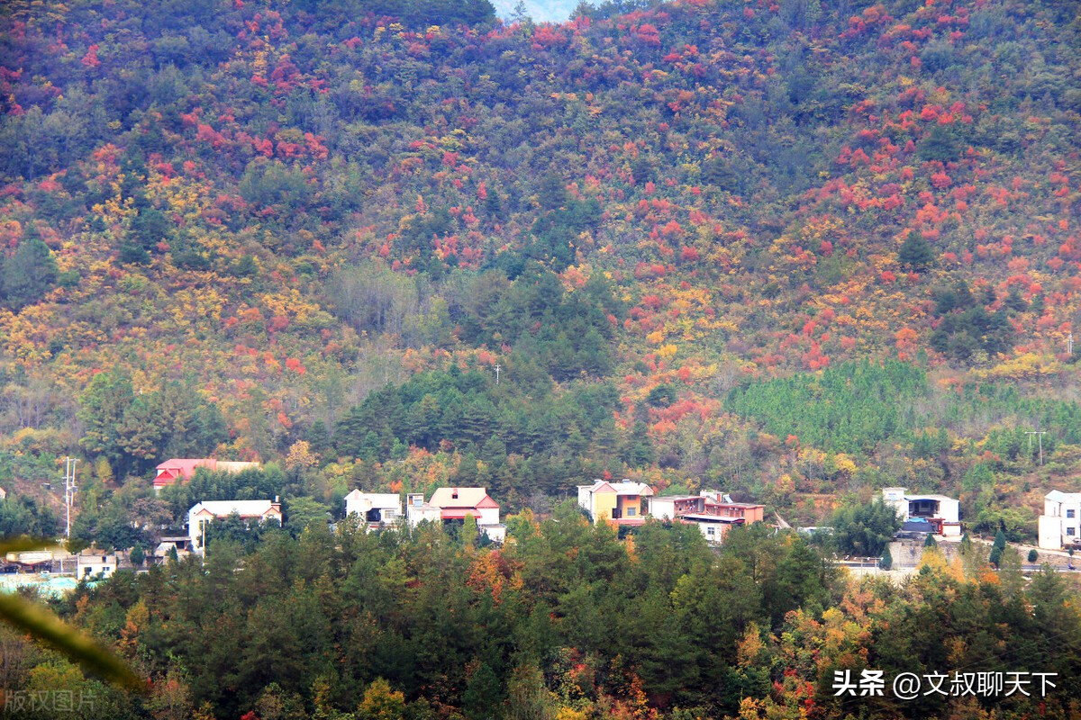 南阳一个美丽而温馨浪漫的城市,南阳最漂亮的古城景点
