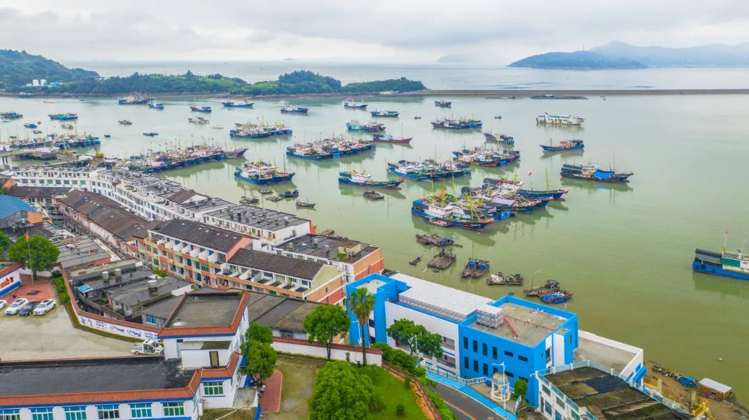 在温过大年！这几条“百县千碗”美食体验线路真的好吃又好玩