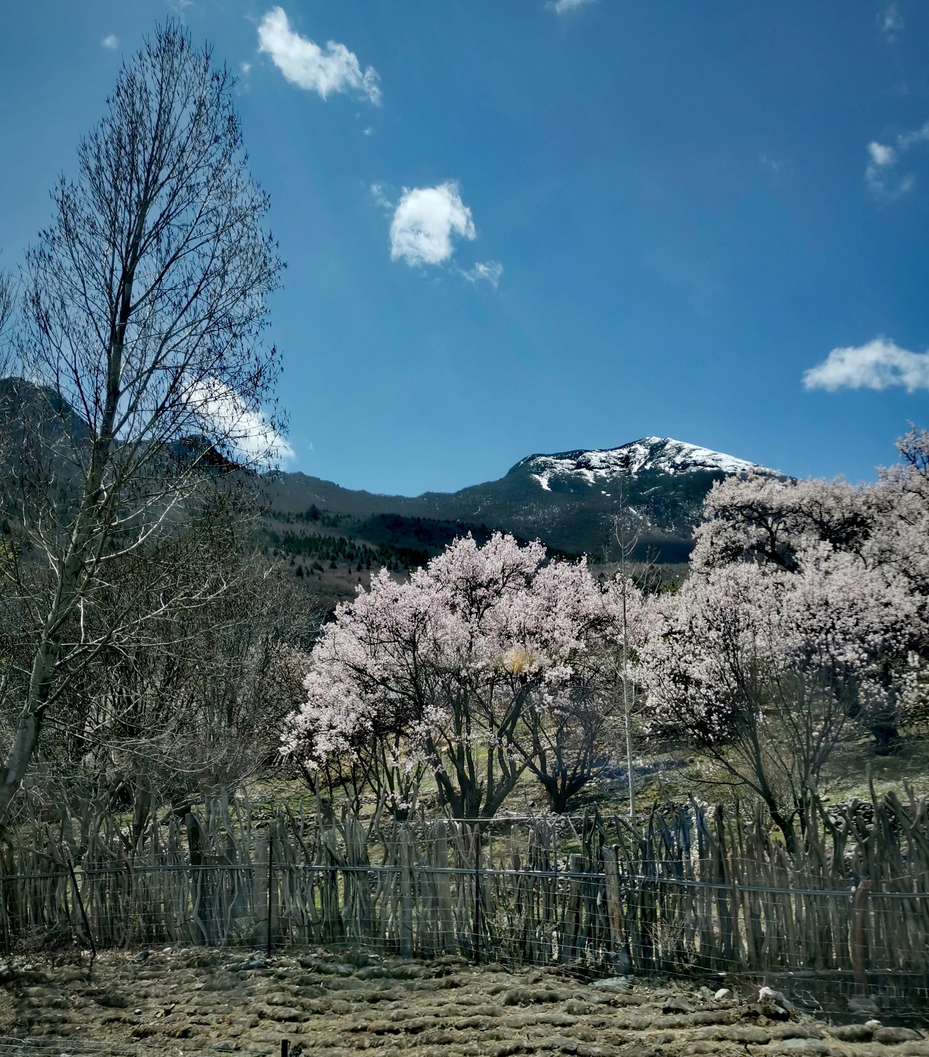 旅游那些事脱口秀,旅游那些事