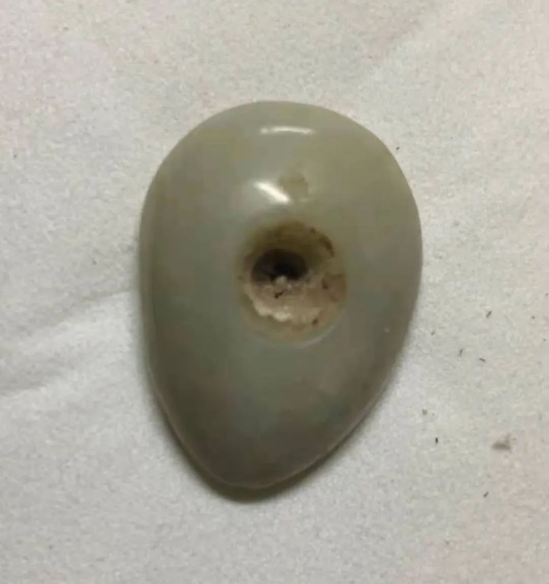 天然贝币真品价格,原始贝币发展史