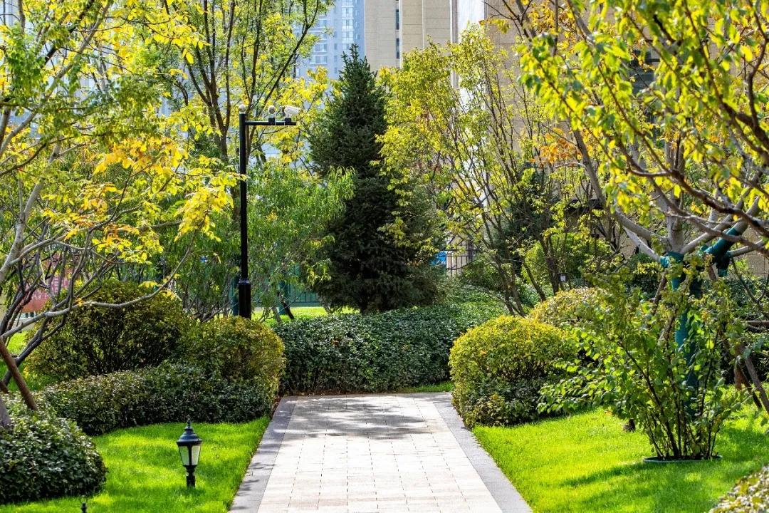 融创外滩壹号院你是我的荣耀,融创外滩壹号院生活体验