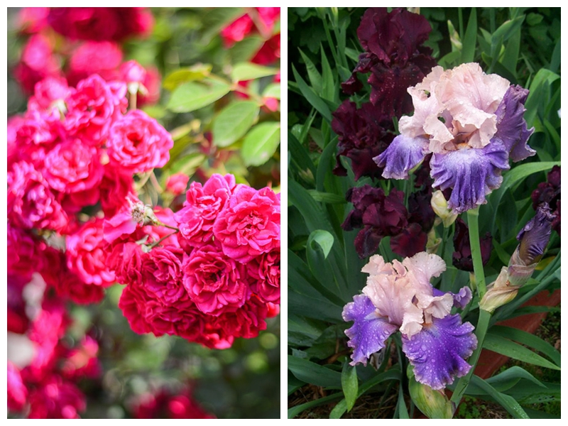 茜茜公主真的美吗,茜茜公主绝美造型