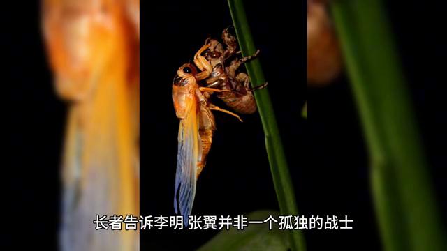 孙子兵法金蝉脱壳完整版,孙子兵法金蝉脱壳下一句