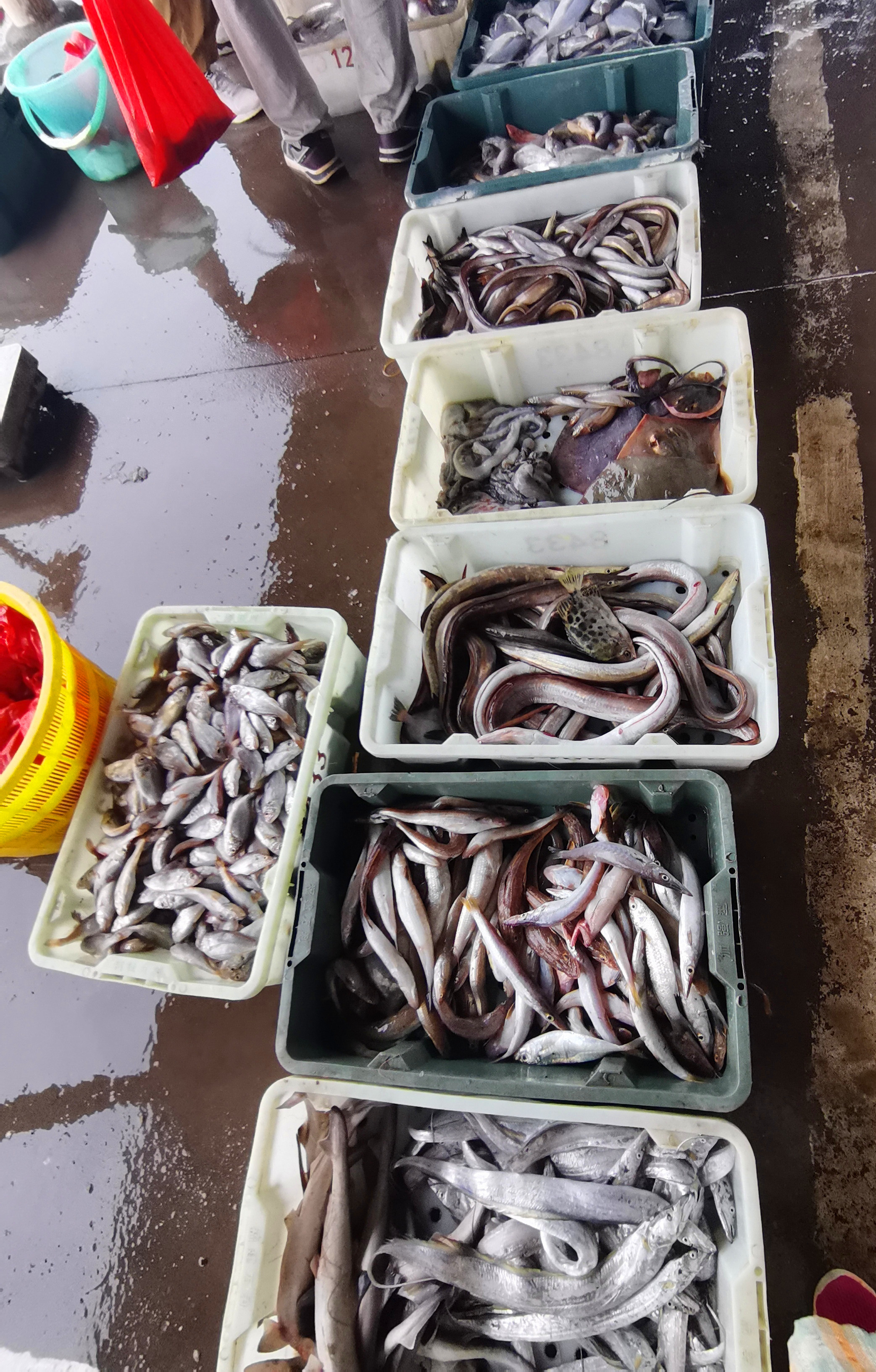 福建长乐漳港：看海、吃海鲜,2022·9·23