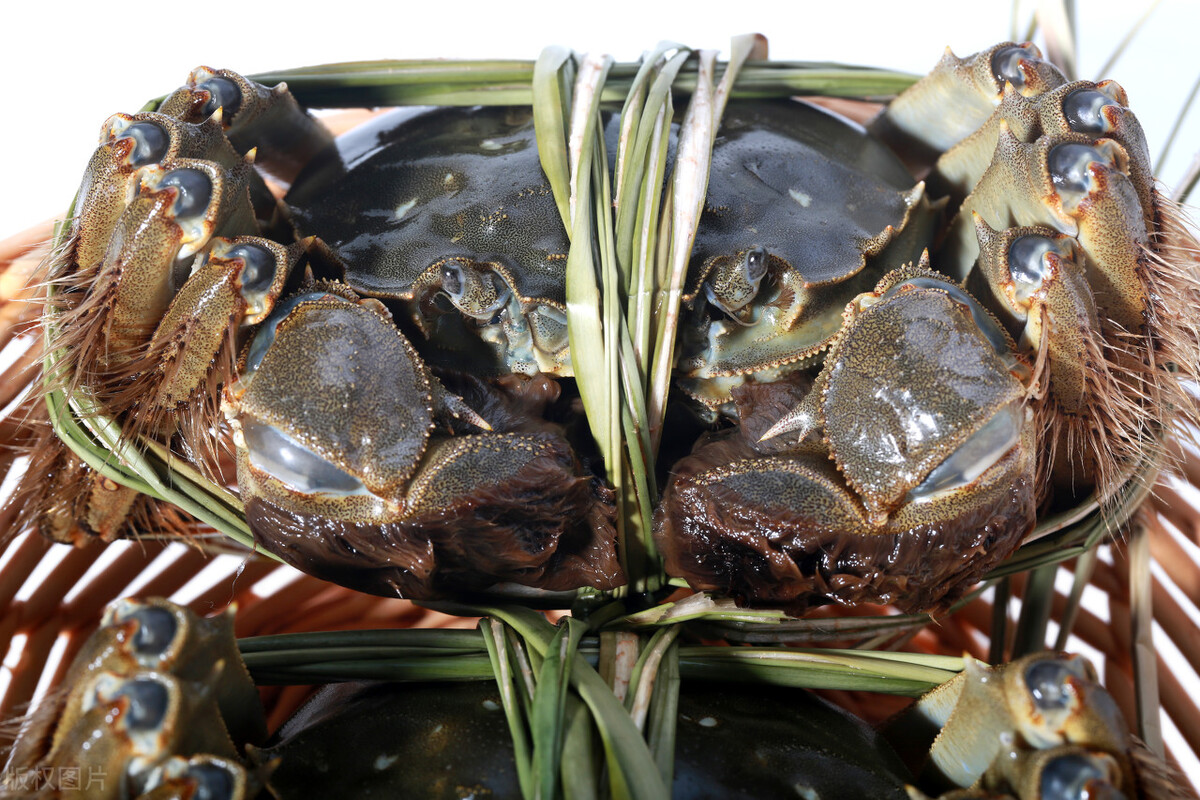 商家急了！洗澡蟹、纸螃蟹，吃货们不再买单，大闸蟹还有啥新花样